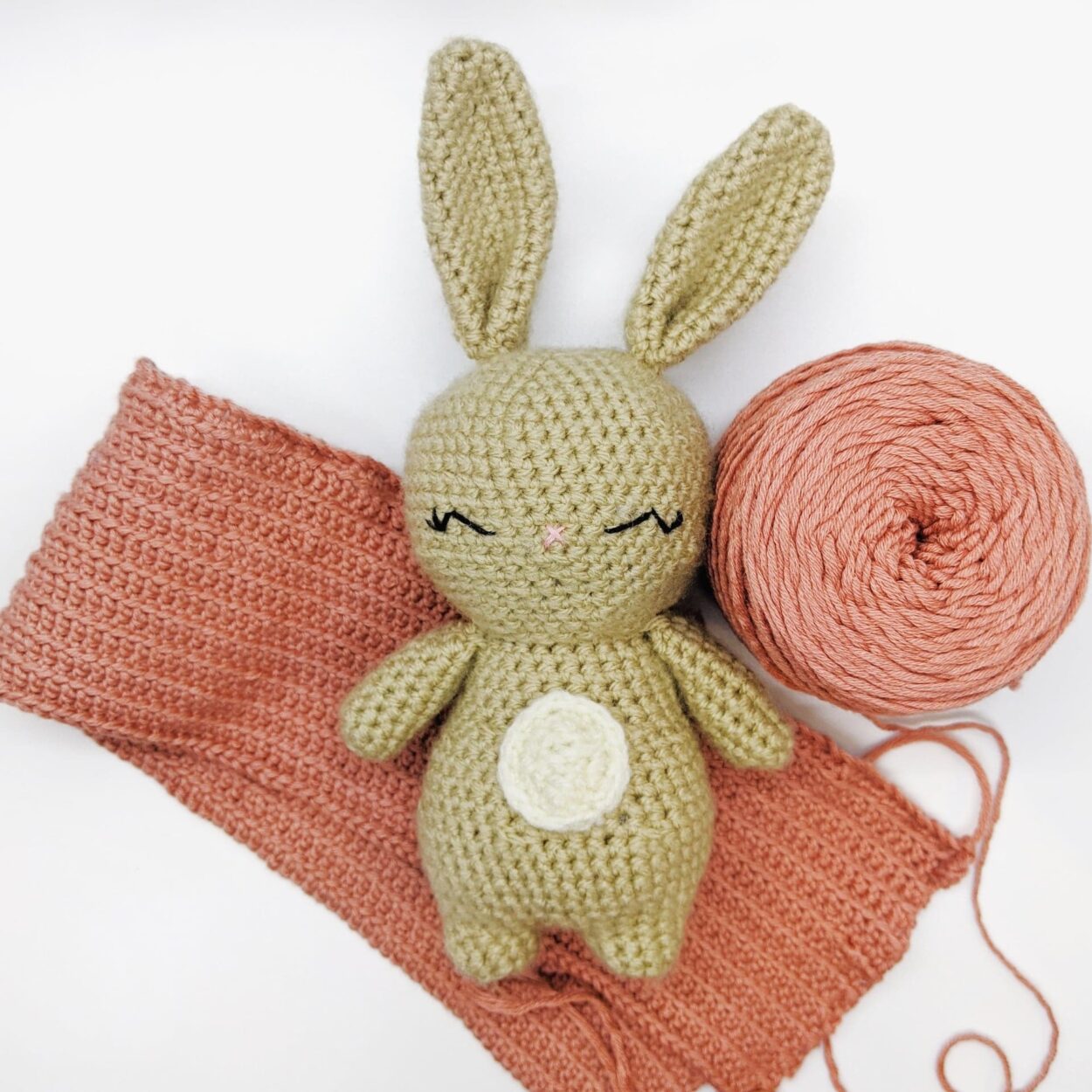 Easy Crochet Bunny - Free Pattern - Craftings of Joules