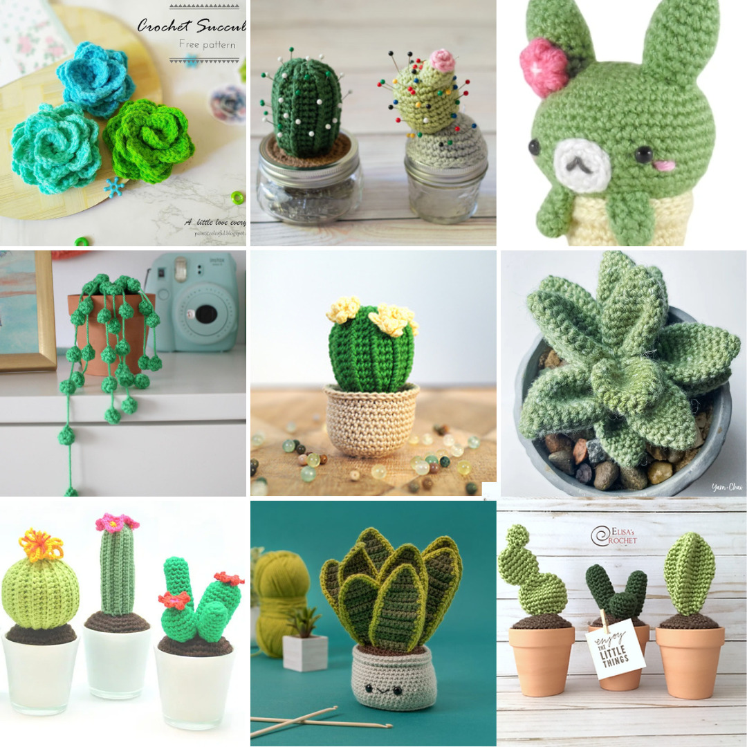 Cactus and Succulent Crochet Kit