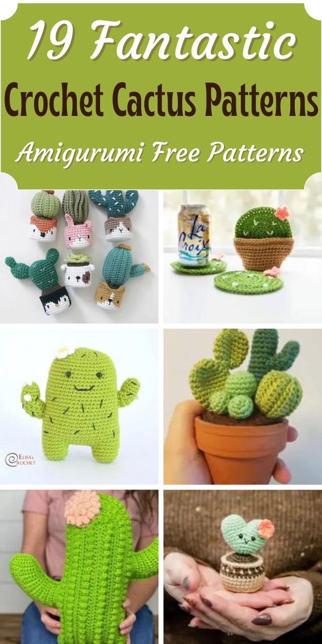 19 Fantastic Crochet Cactus Patterns (easy!) - Little World of Whimsy